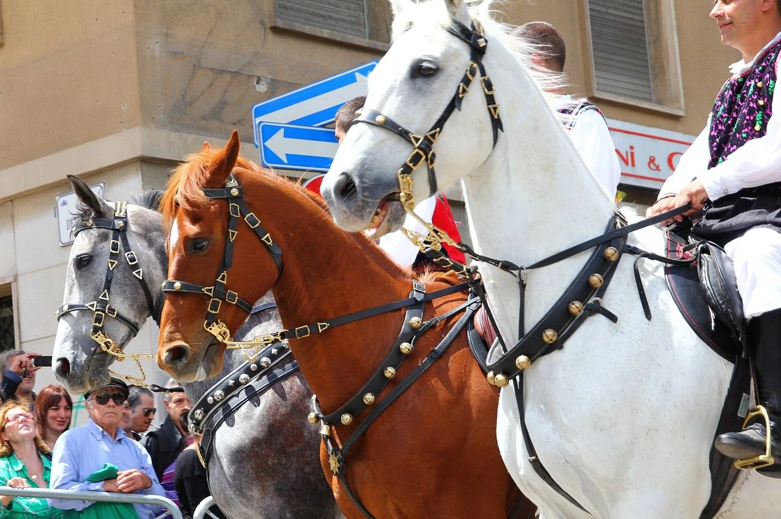 Cavalieri in costume tradizionale sardo durante la Cavalcata Sarda di Sassari